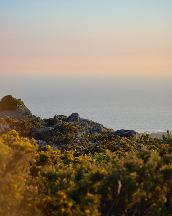 4 Simple Ways to Support a Small Sustainable Brand